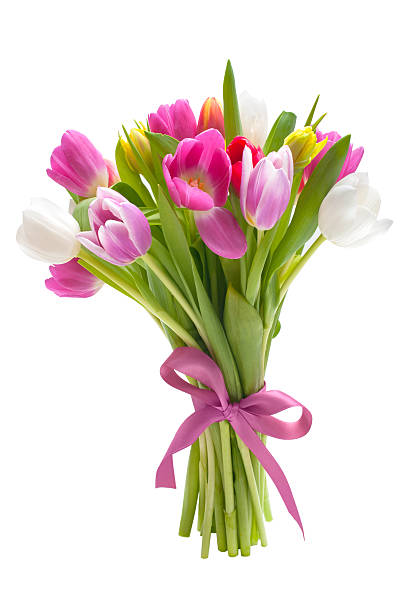bouquet of spring tulips flowers isolated on white background
